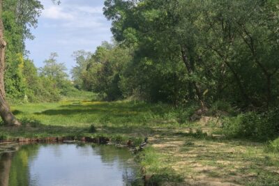 Agrandir l'image 1 sur 3, fenêtre modale