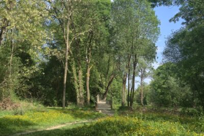 Agrandir l'image 2 sur 3, fenêtre modale