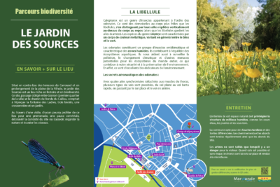 Agrandir l'image 5 sur 5, fenêtre modale