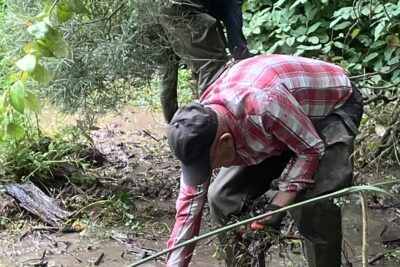 Agrandir l'image 3 sur 3, fenêtre modale