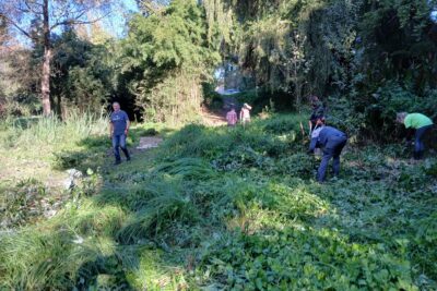 Agrandir l'image 1 sur 3, fenêtre modale