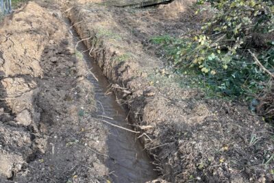 Agrandir l'image 2 sur 3, fenêtre modale