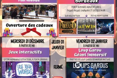 Agrandir l'image, fenêtre modale