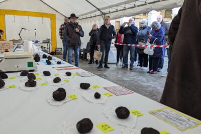 Agrandir l'image 2 sur 3, fenêtre modale