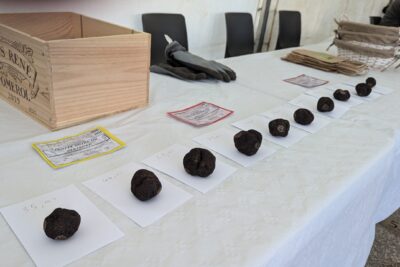 Agrandir l'image 3 sur 3, fenêtre modale