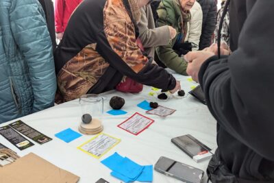 Agrandir l'image 1 sur 3, fenêtre modale