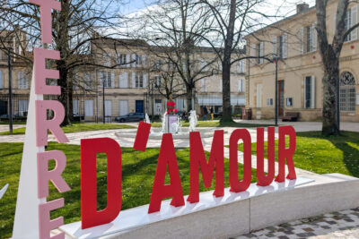 Agrandir l'image 1 sur 3, fenêtre modale