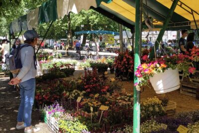 Agrandir l'image 3 sur 3, fenêtre modale