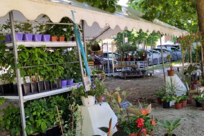 Agrandir l'image 3 sur 3, fenêtre modale