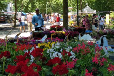 Agrandir l'image 2 sur 3, fenêtre modale