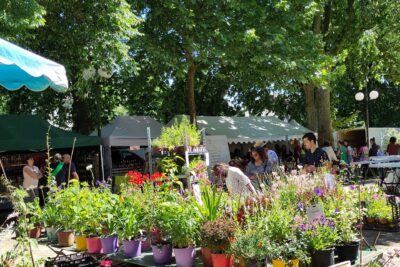 Agrandir l'image 1 sur 3, fenêtre modale