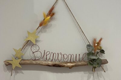 Agrandir l'image 2 sur 3, fenêtre modale