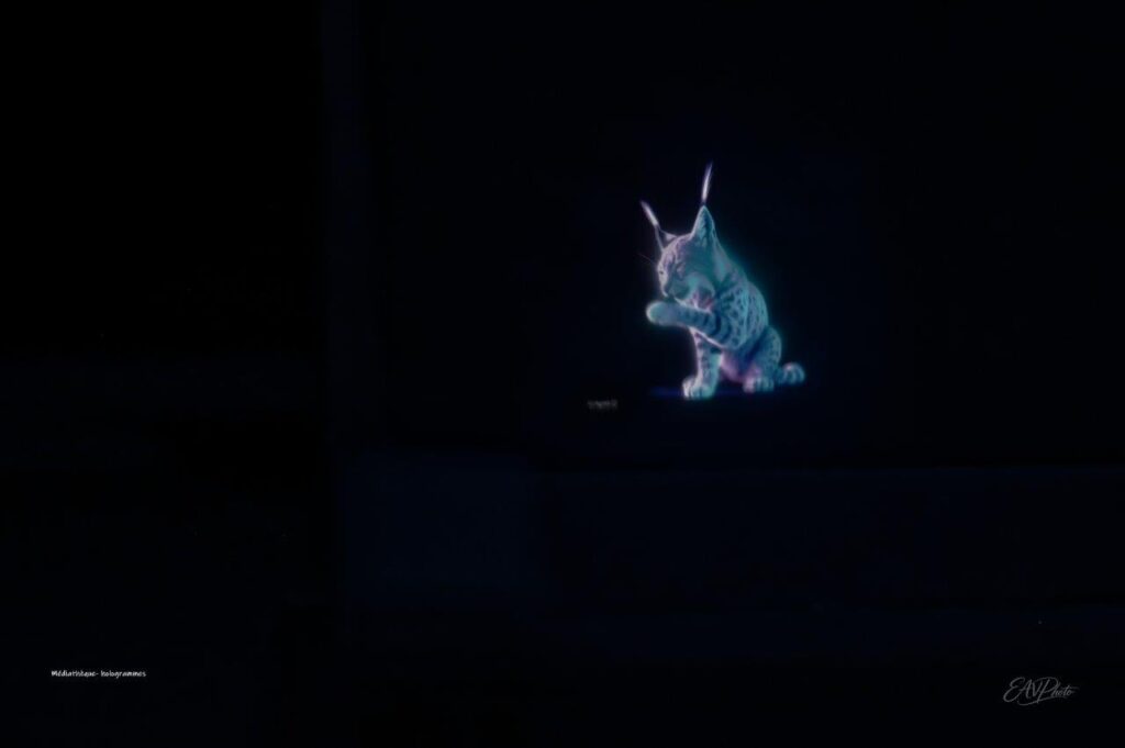 Agrandir l'image, fenêtre modale