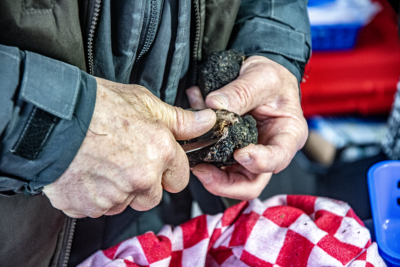Agrandir l'image 2 sur 3, fenêtre modale