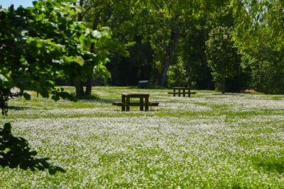 Agrandir l'image 3 sur 6, fenêtre modale