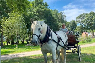 Agrandir l'image 2 sur 3, fenêtre modale