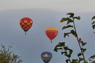 Agrandir l'image 17 sur 54, fenêtre modale