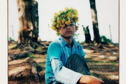 Agrandir l'image, fenêtre modale