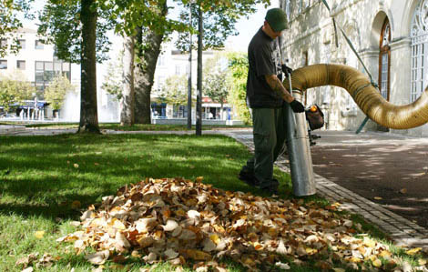 Cette photo représente le ramassage des feuilles de la ville de Marmande à l'aide d'aspirateurs